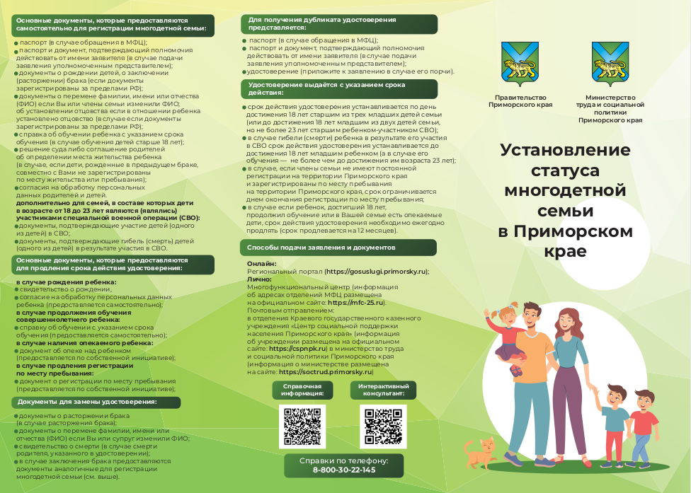 Установление статуса многодетной семьи в Приморском крае